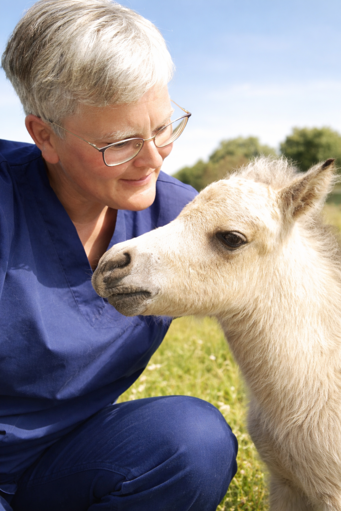 Dr. Carolin Schröder, equine veterinarian focused on preventive health, examining a young horse outdoors.