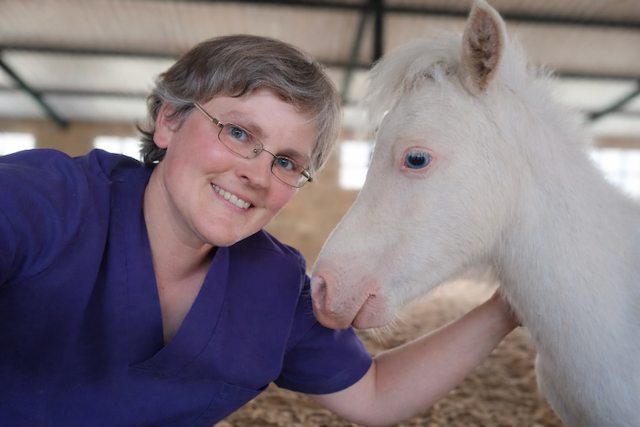 Dr. Carolin Schröder, veterinarian, with a horse in a stable.