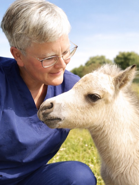 Veterinarian Dr. Carolin Schröder with a young foal outdoors