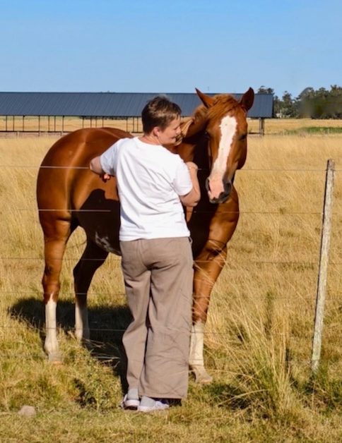 Horse owner standing beside a chestnut horse in a field, showing calm everyday interaction